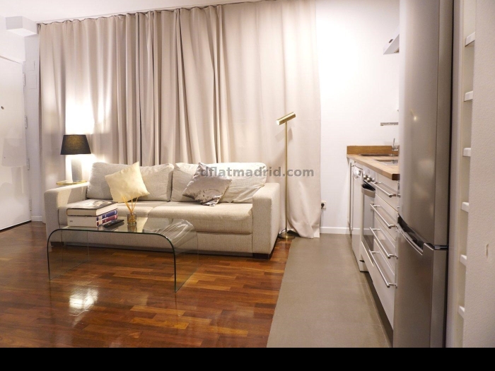 Apartment in Salamanca of 1 Bedroom #2035 in Madrid