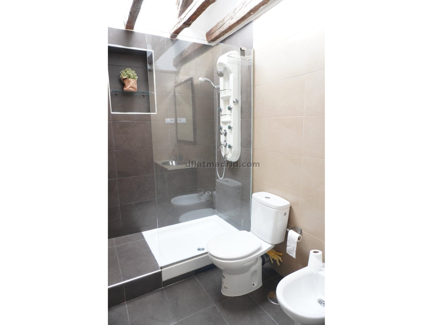 Apartment in Chamberi of 1 Bedroom #2036 in Madrid