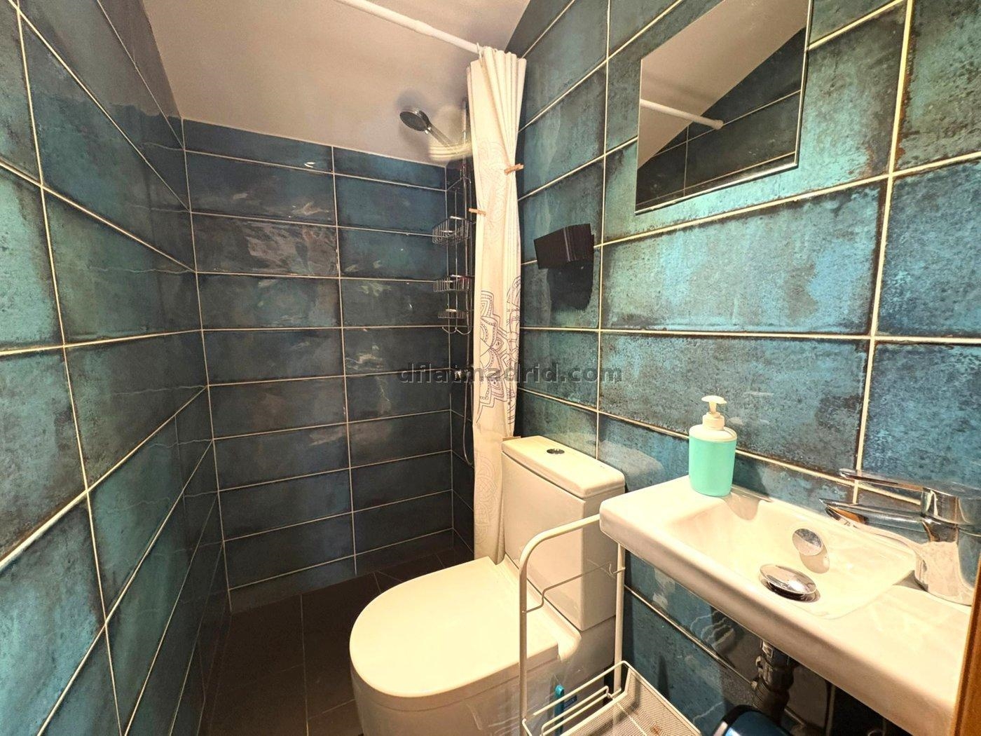Apartamento en Tetuan de 1 Dormitorio #2048 en Madrid