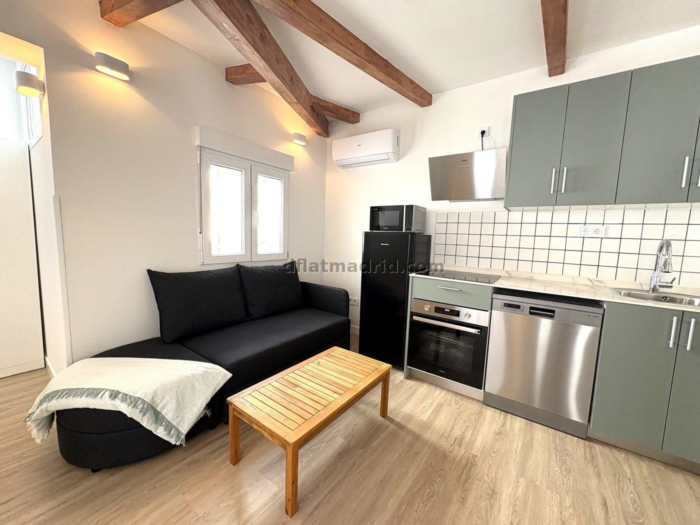 Apartment in Centro of 1 Bedroom #2053 in Madrid