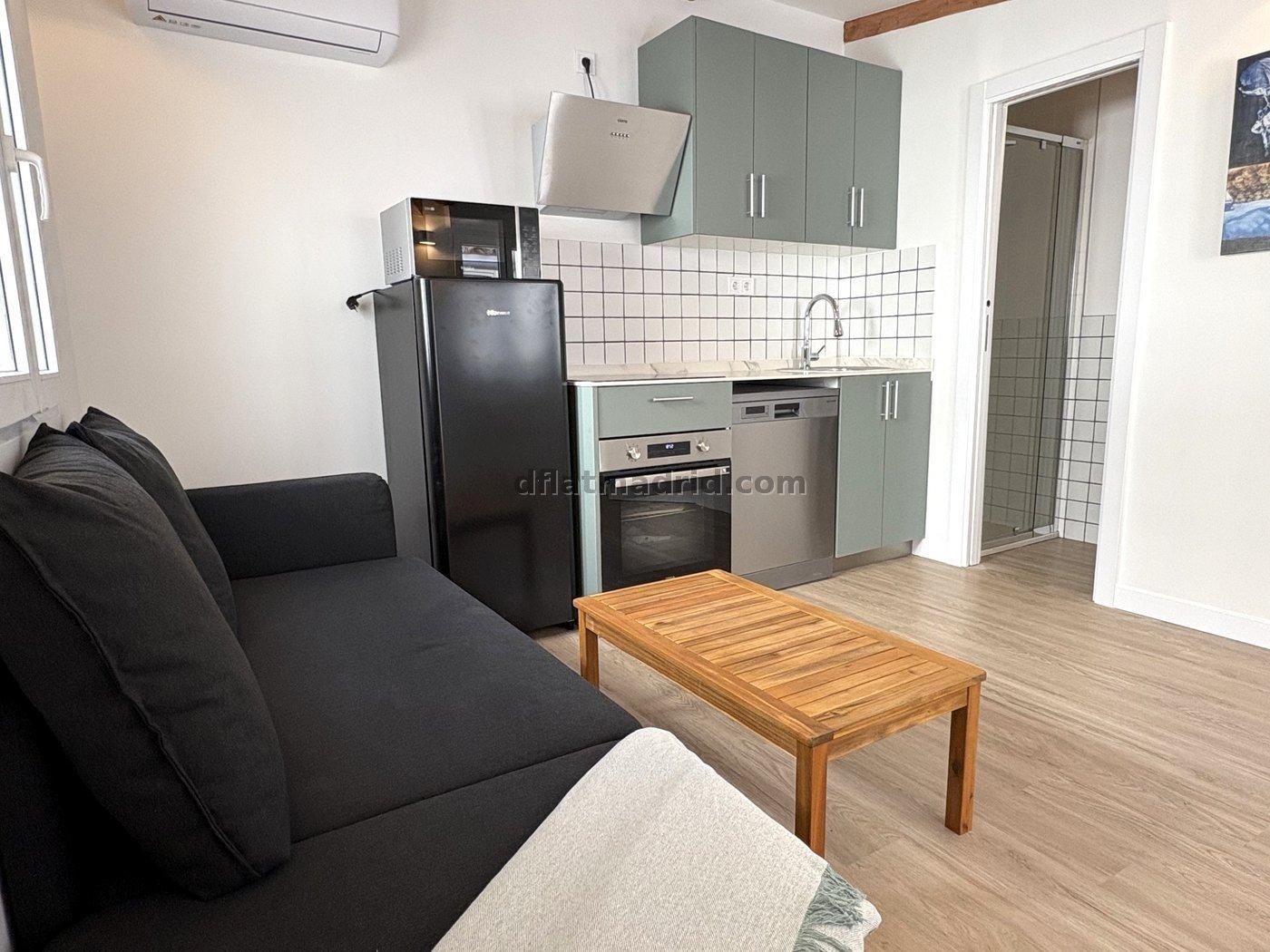 Apartment in Centro of 1 Bedroom #2053 in Madrid