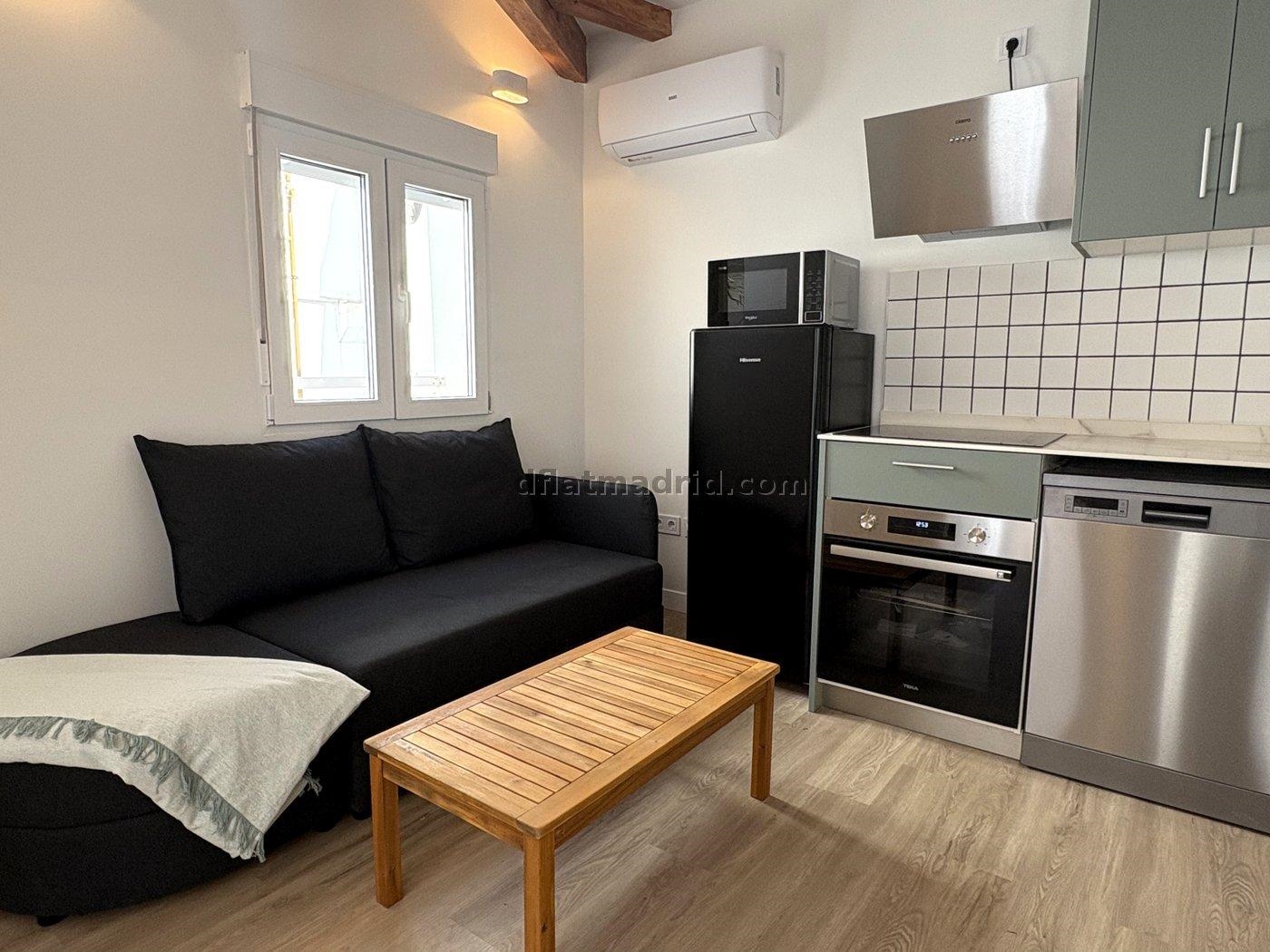Apartment in Centro of 1 Bedroom #2053 in Madrid