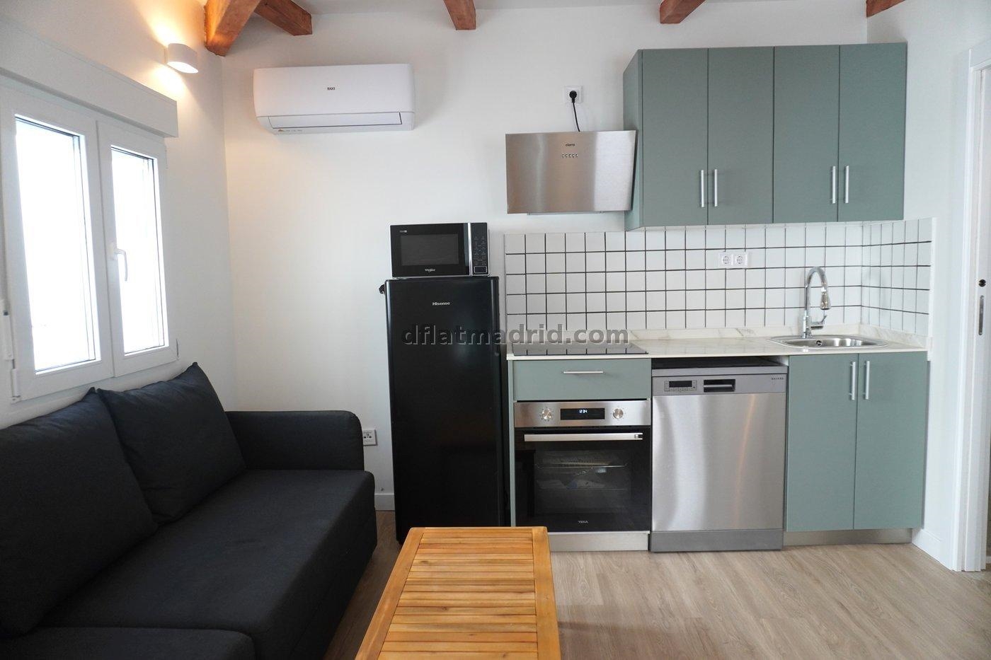 Apartment in Centro of 1 Bedroom #2053 in Madrid