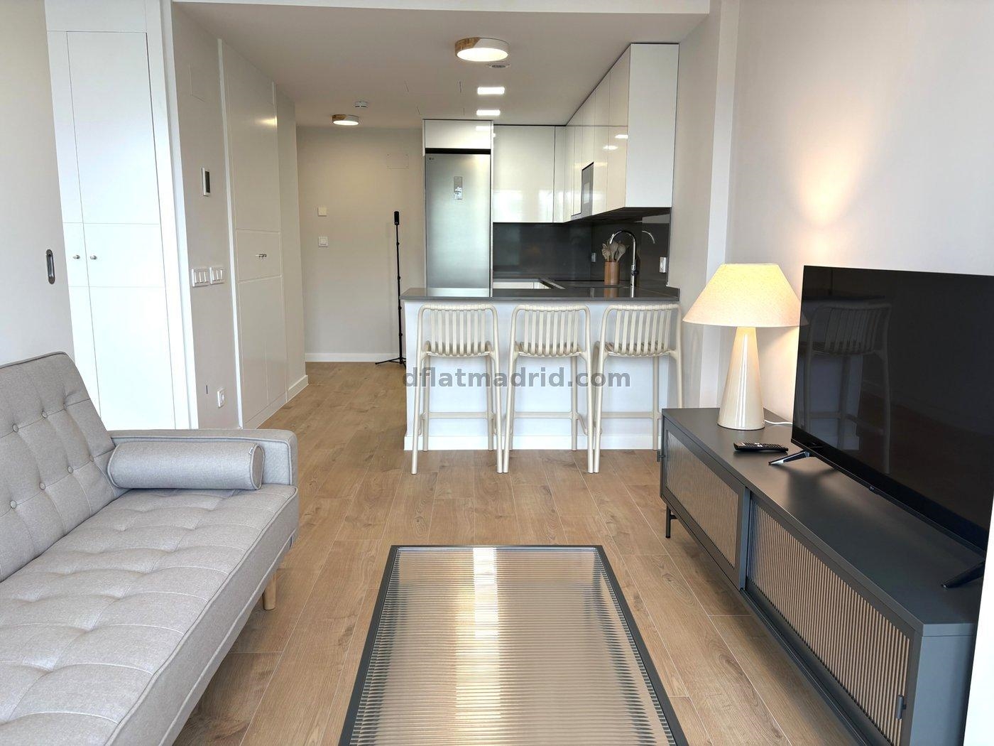 Apartamento en Hortaleza de 1 Dormitorio #2054 en Madrid