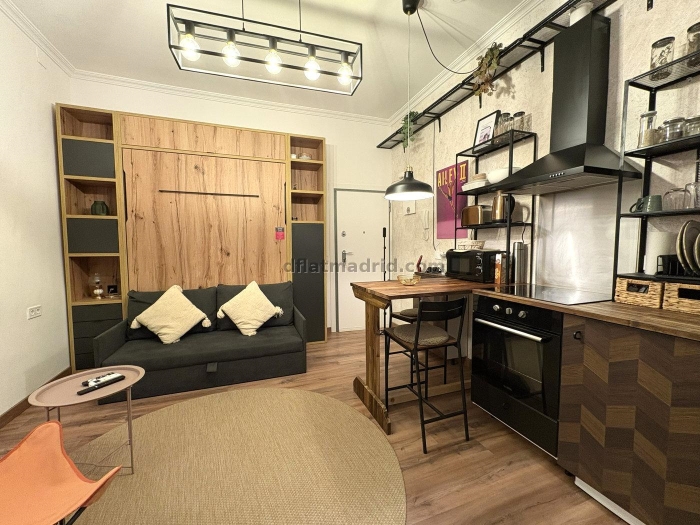 Estudio en Centro #2055 en Madrid