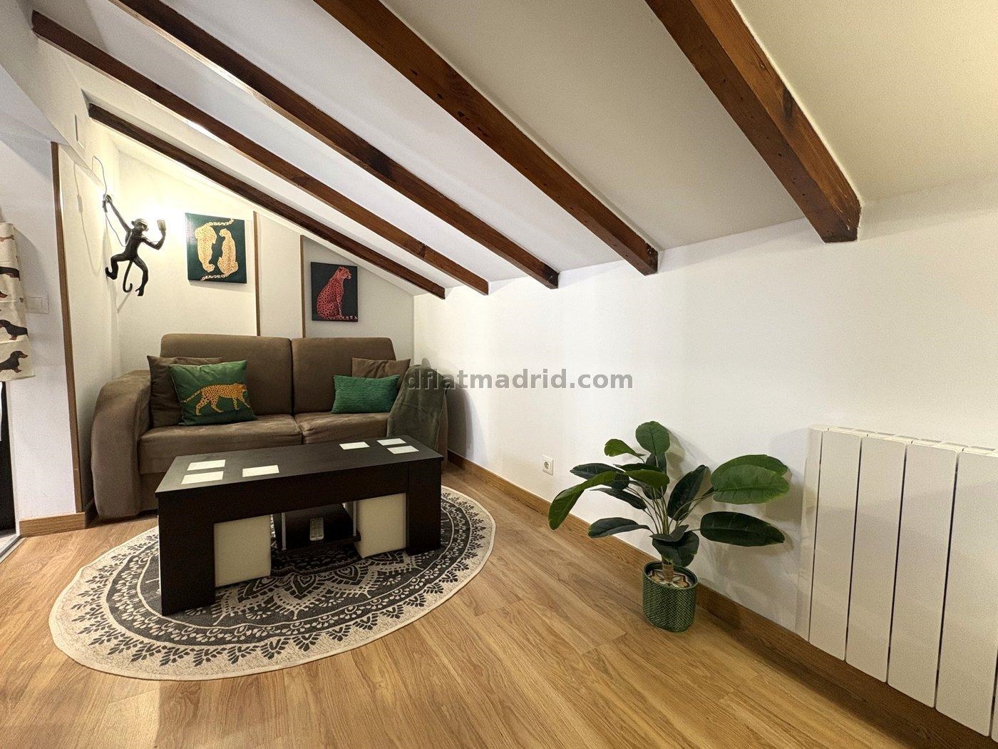 Estudio en Salamanca #2064 en Madrid