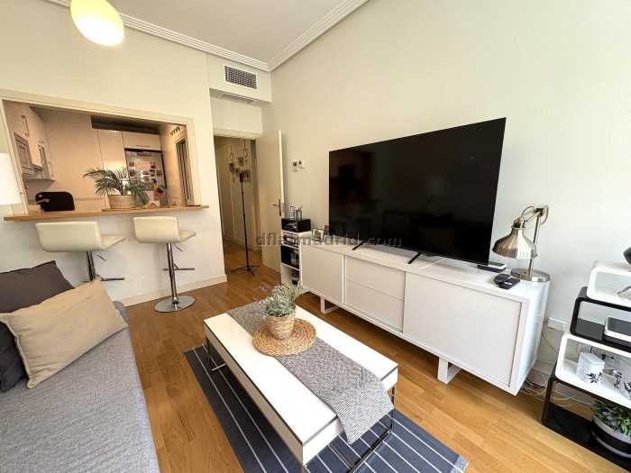 Apartment in Chamartin of 1 Bedroom #2074 in Madrid