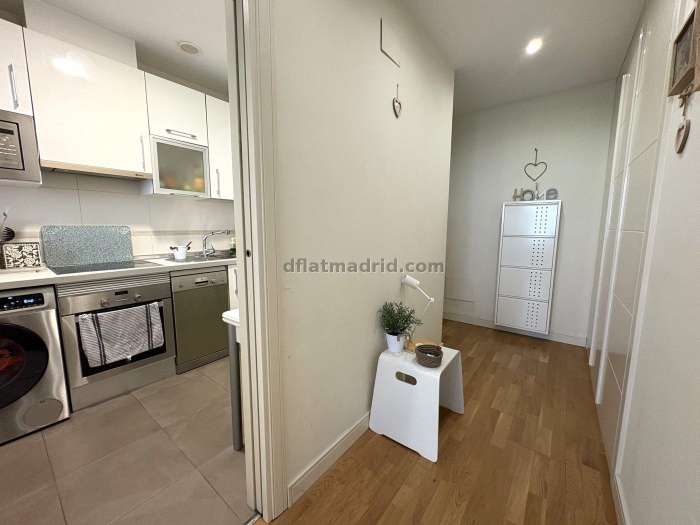 Apartment in Chamartin of 1 Bedroom #2074 in Madrid
