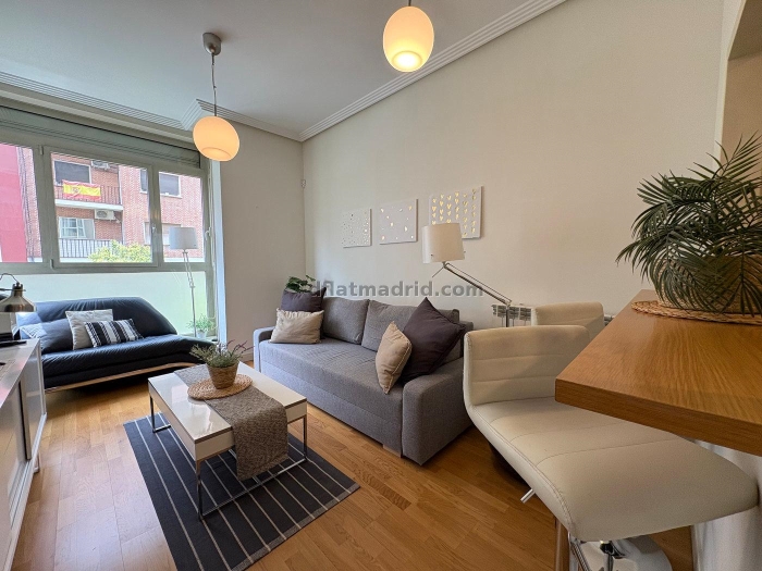 Apartment in Chamartin of 1 Bedroom #2074 in Madrid