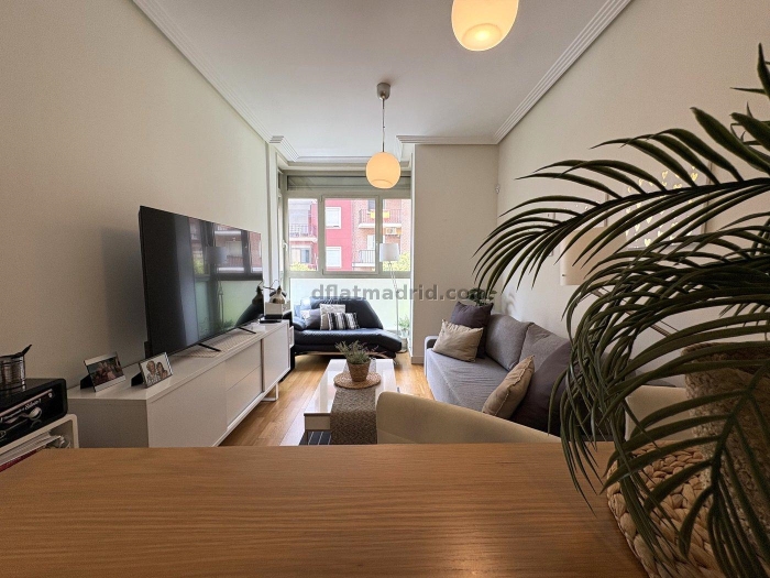 Apartment in Chamartin of 1 Bedroom #2074 in Madrid
