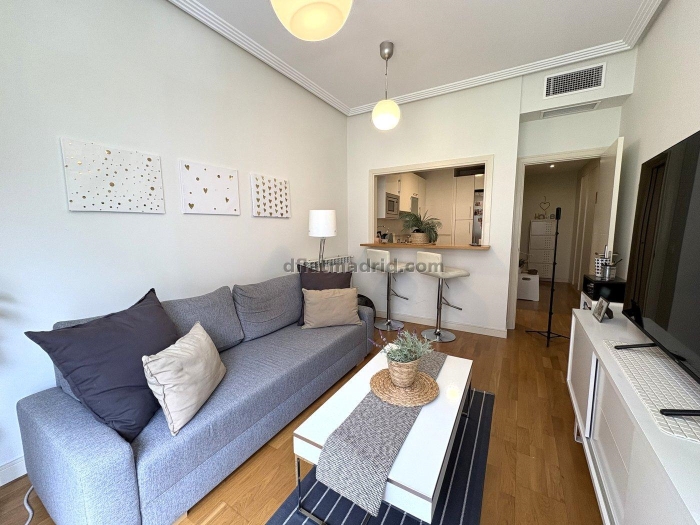 Apartment in Chamartin of 1 Bedroom #2074 in Madrid