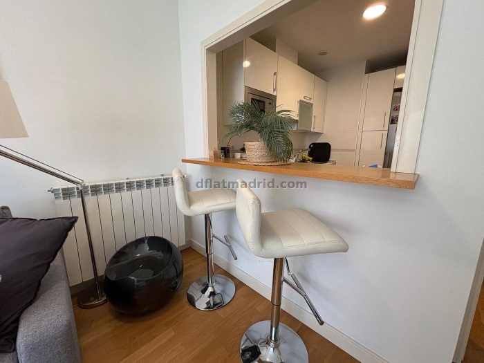 Apartment in Chamartin of 1 Bedroom #2074 in Madrid