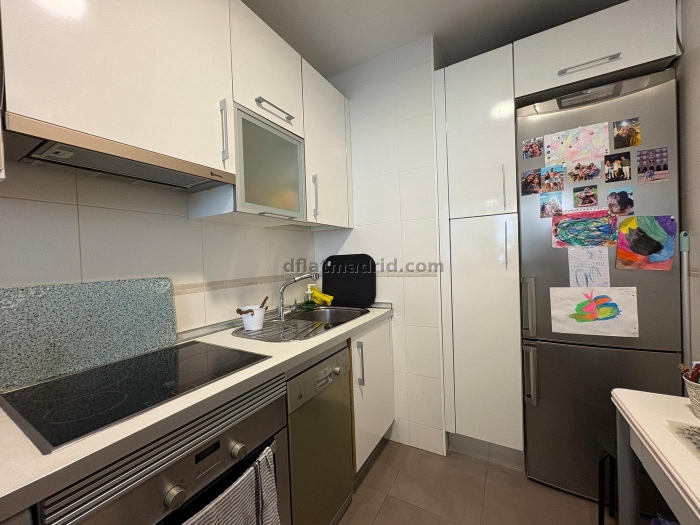 Apartment in Chamartin of 1 Bedroom #2074 in Madrid