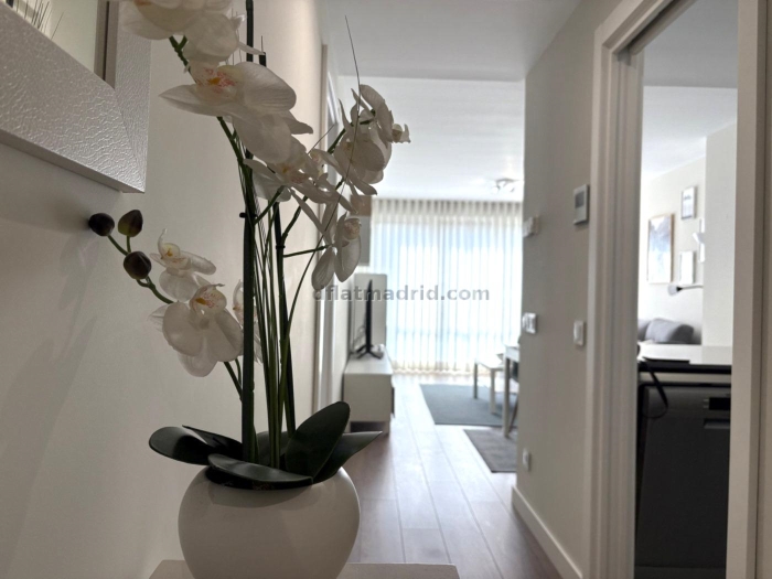 Apartamento en Chamartin de 2 Dormitorio #2075 en Madrid