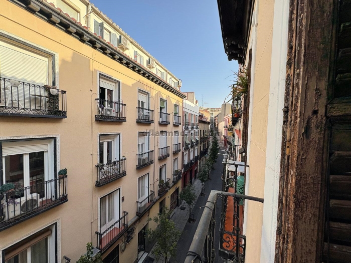 Bright Apartment in Centro #2088 in Madrid