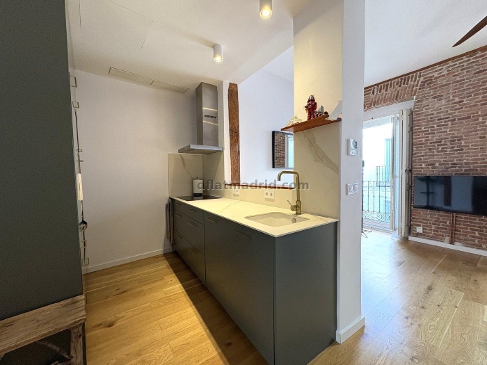 Bright Apartment in Centro #2088 in Madrid