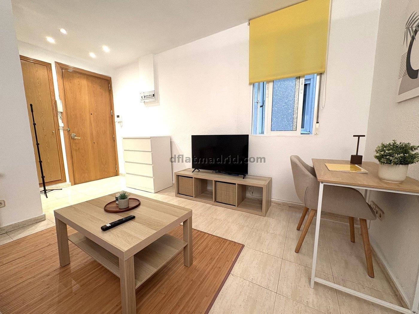 Apartamento en Salamanca de 1 Dormitorio #2094 en Madrid