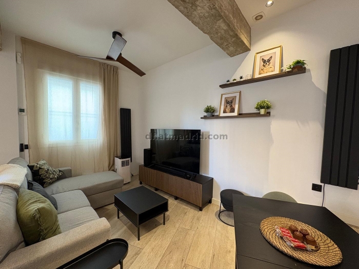 Apartment of 1 Bedroom #2093 in Madrid