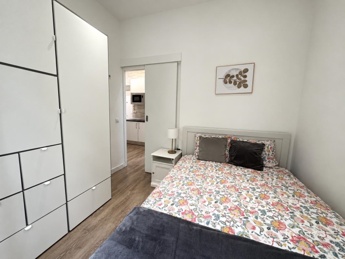 Apartamento en el Centro de 1 Dormitorio #2095 en Madrid