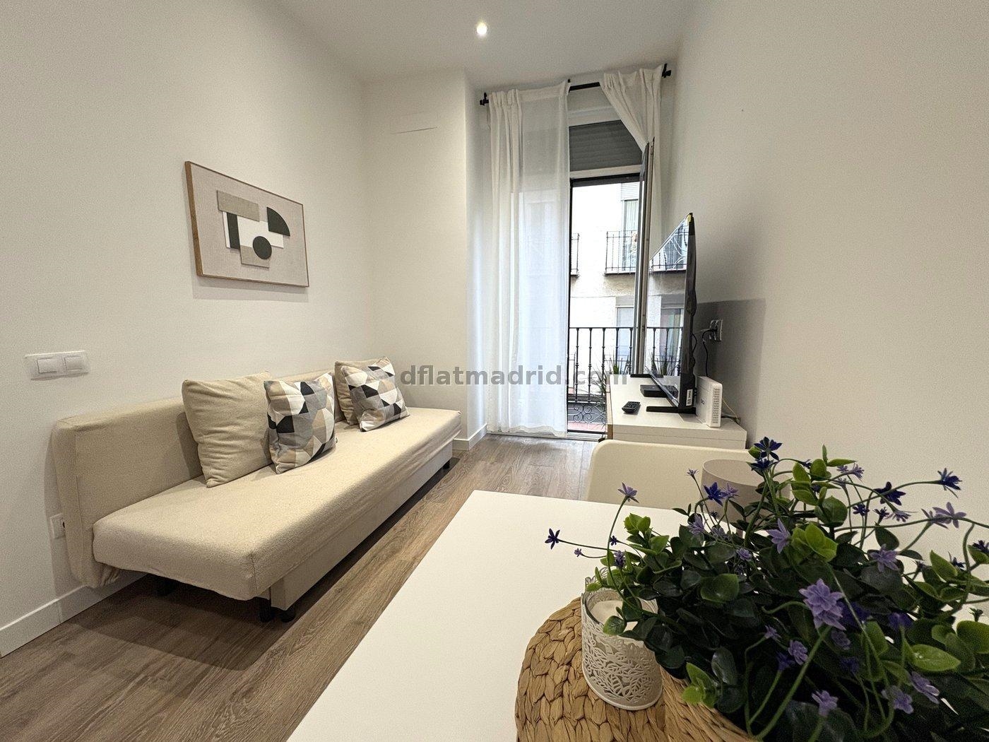 Apartamento en el Centro de 1 Dormitorio #2095 en Madrid