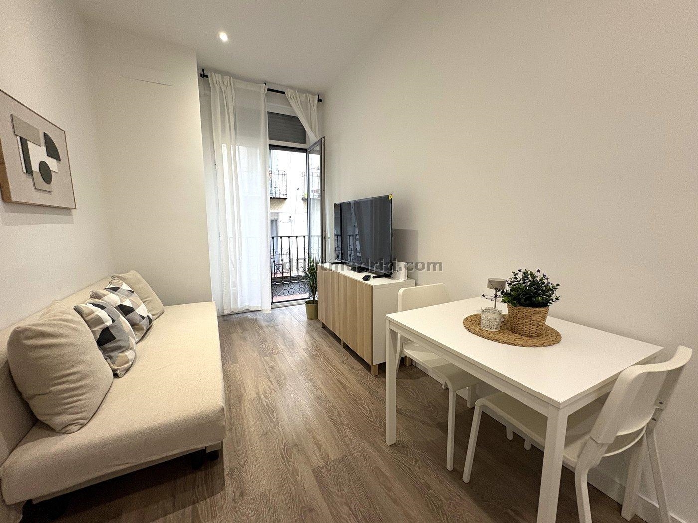 Apartamento en el Centro de 1 Dormitorio #2095 en Madrid