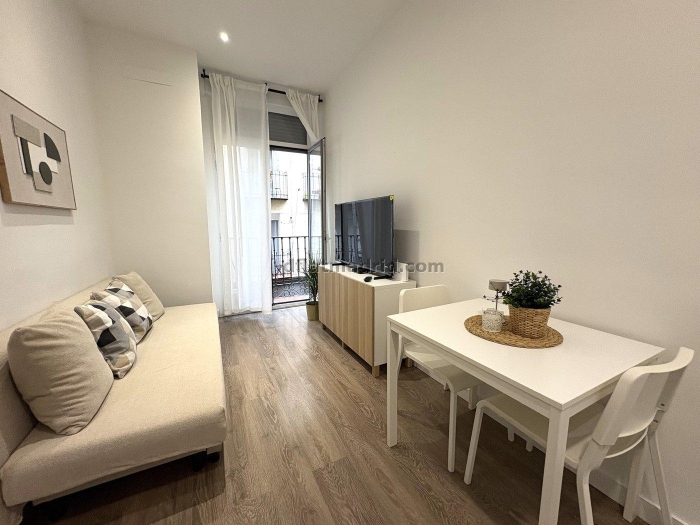 Apartamento en el Centro de 1 Dormitorio #2095 en Madrid