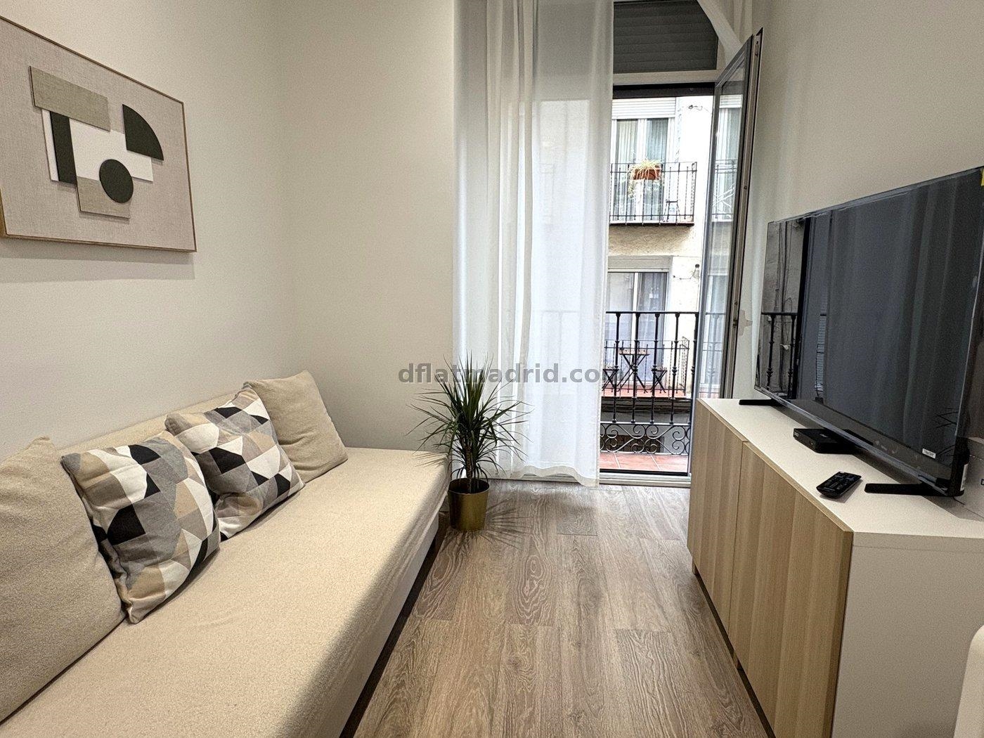 Apartamento en el Centro de 1 Dormitorio #2095 en Madrid
