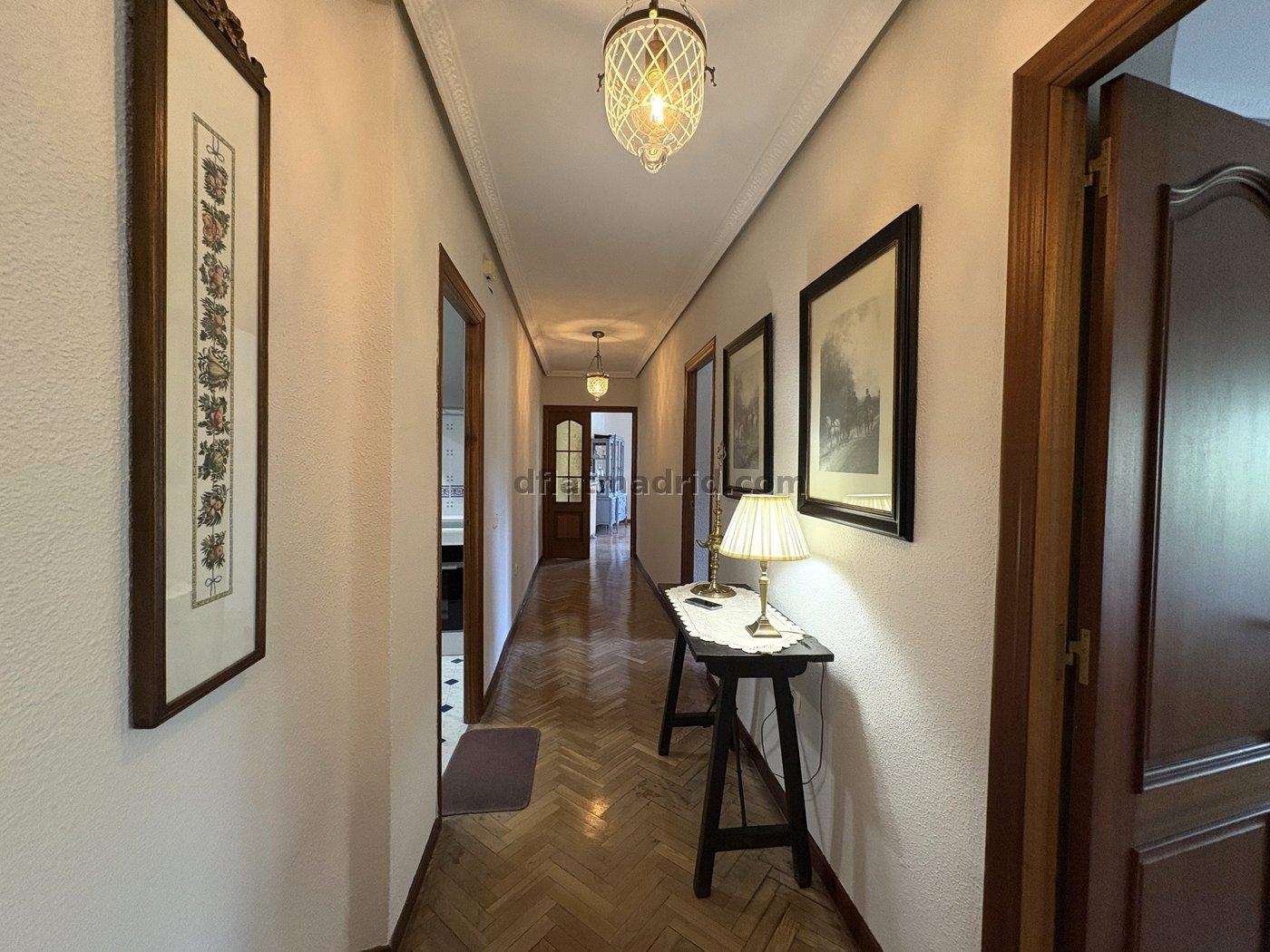 Spacious Apartment in Retiro of 3 Bedrooms #2096 in Madrid
