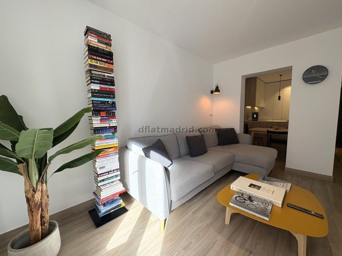 Apartment in Chamberi of 1 Bedroom #2097 in Madrid