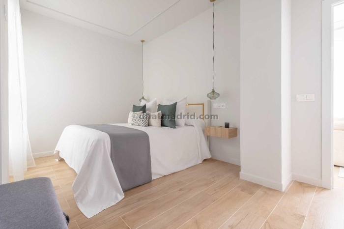 Apartment in Chamartin of 1 Bedroom #2098 in Madrid