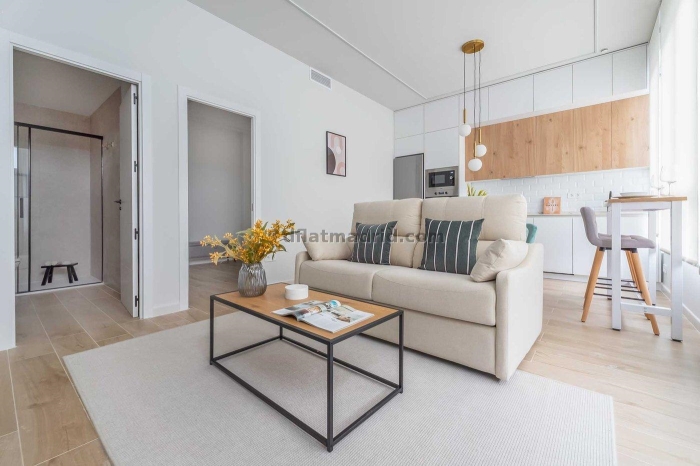 Apartment in Chamartin of 1 Bedroom #2098 in Madrid