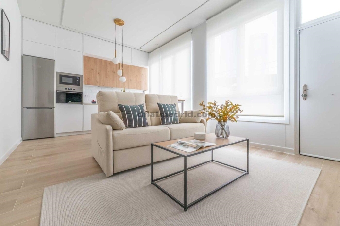 Apartment in Chamartin of 1 Bedroom #2098 in Madrid
