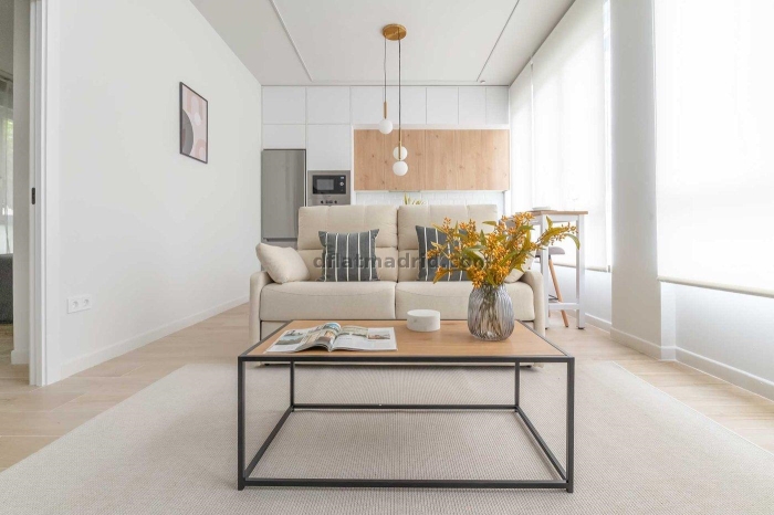 Apartment in Chamartin of 1 Bedroom #2098 in Madrid