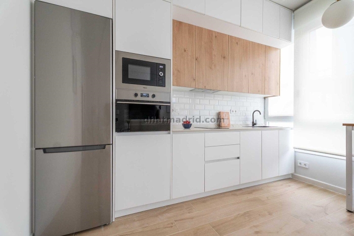 Apartment in Chamartin of 1 Bedroom #2098 in Madrid
