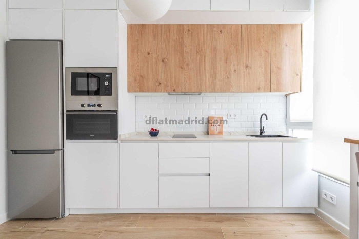 Apartment in Chamartin of 1 Bedroom #2098 in Madrid