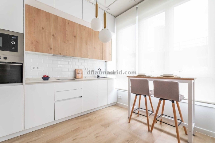 Apartment in Chamartin of 1 Bedroom #2098 in Madrid