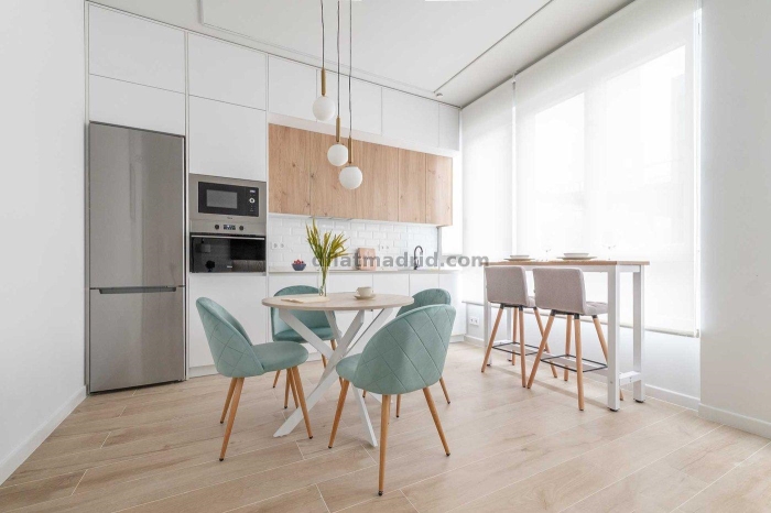 Apartment in Chamartin of 1 Bedroom #2098 in Madrid