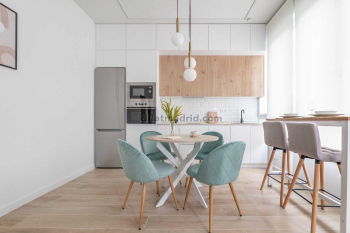 Apartment in Chamartin of 1 Bedroom #2098 in Madrid