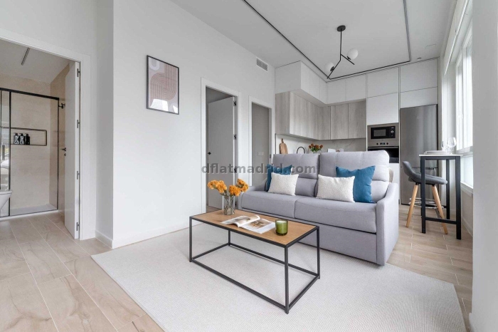 Apartamento en Chamartin de 2 Dormitorios #2099 en Madrid