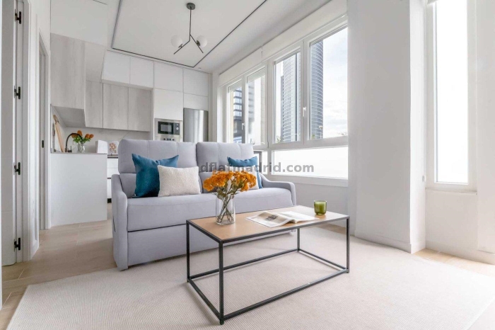 Apartamento en Chamartin de 2 Dormitorios #2099 en Madrid