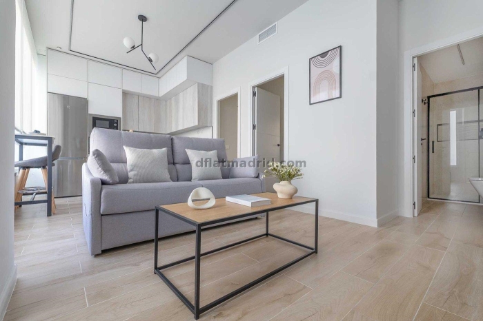 Apartamento Luminoso en Chamartin de 2 Dormitorios #2102 en Madrid