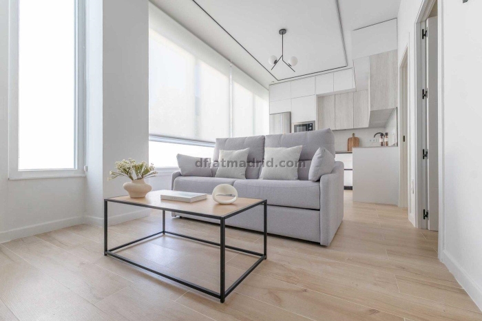 Apartamento Luminoso en Chamartin de 2 Dormitorios #2102 en Madrid