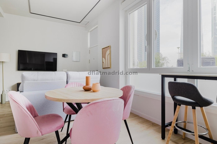 Apartamento en Chamartin de 2 Dormitorios #2103 en Madrid