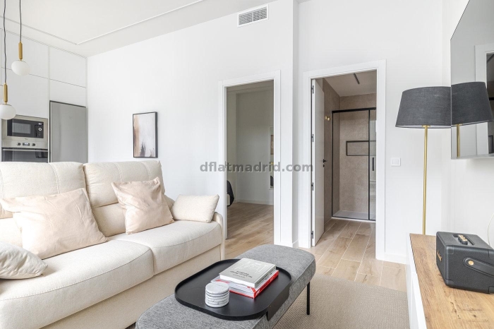 Apartamento Luminoso en Chamartin de 1 Dormitorio #2104 en Madrid