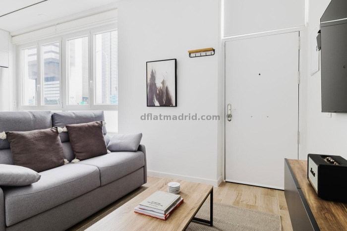 Apartment in Chamartin of 2 Bedrooms #2105 in Madrid