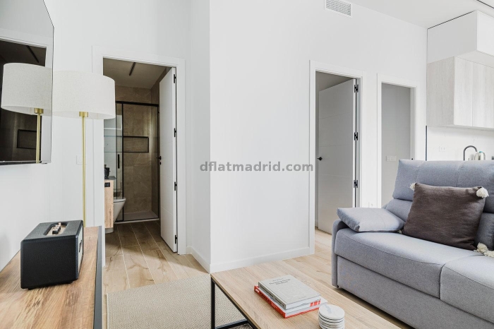 Apartment in Chamartin of 2 Bedrooms #2105 in Madrid