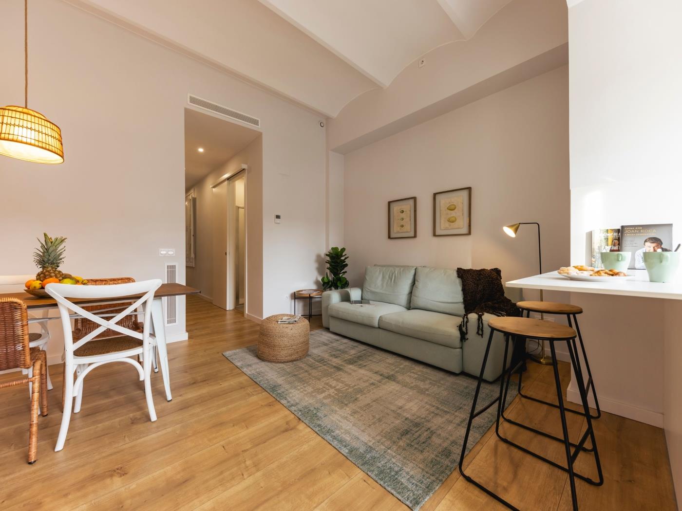 Bravissimo Riu Onyar, moderno y con 3 habitaciones en Girona