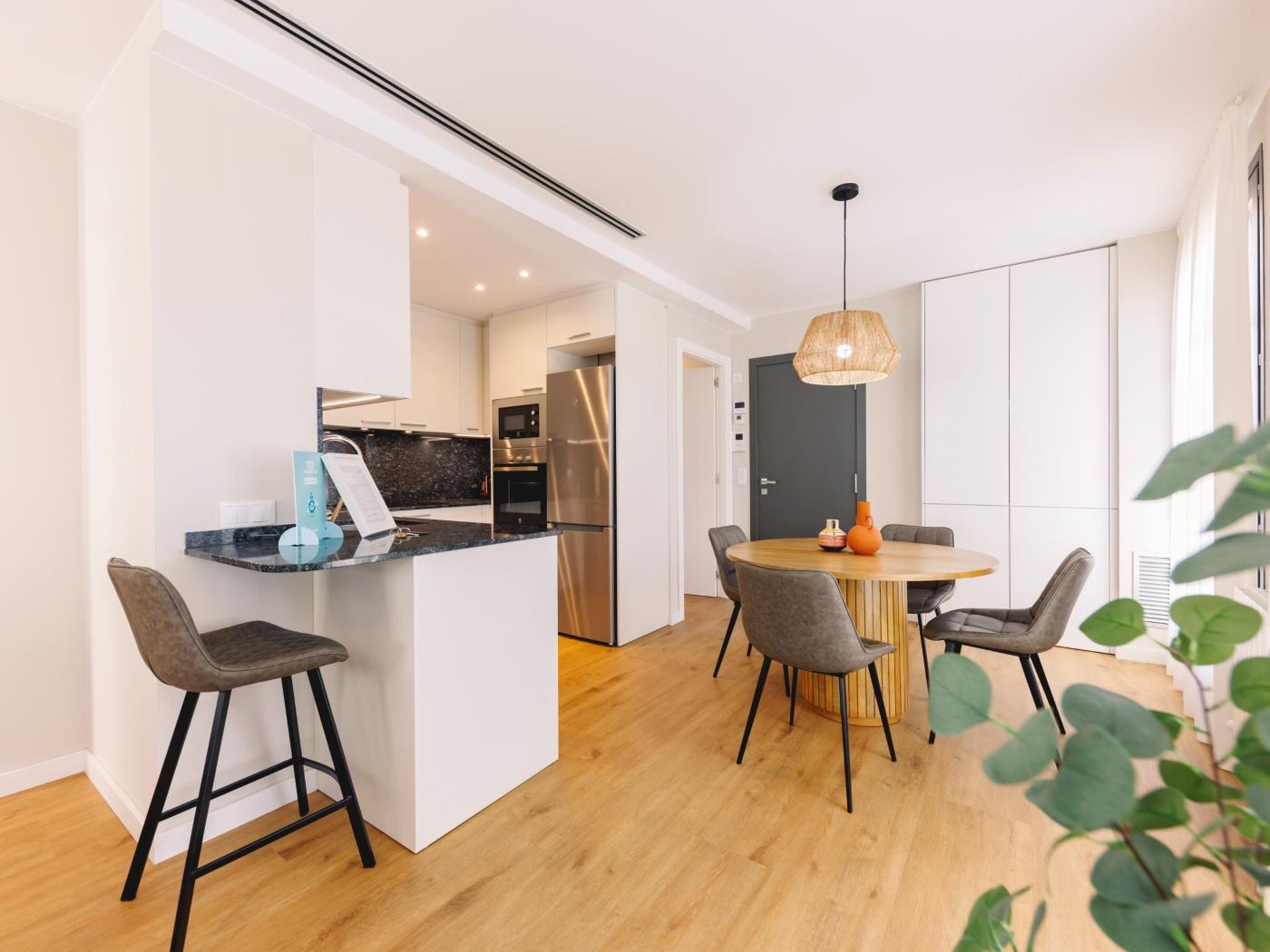 Bravissimo Pont de Pedra Penthouse a Girona