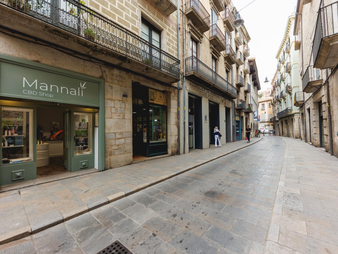 Ciutadans - Apartamento vacacional en Girona | Bravissimo en Girona