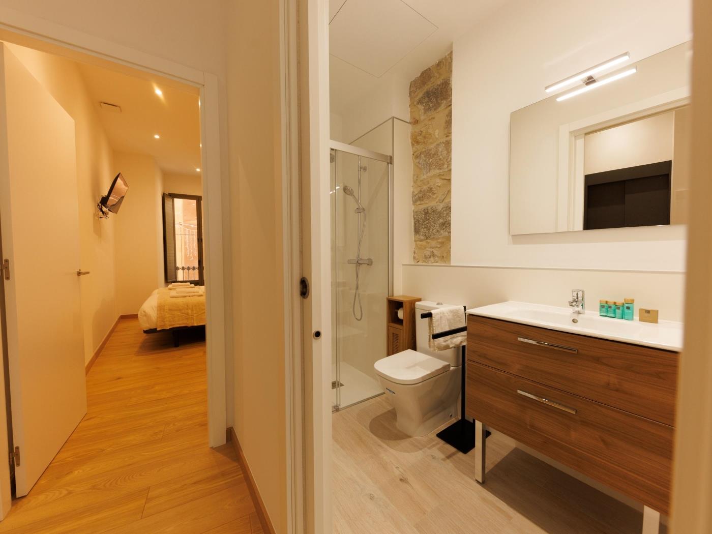 Pont Sant Agusti 1 - Monthly apartment Girona | Bravissimo in Girona